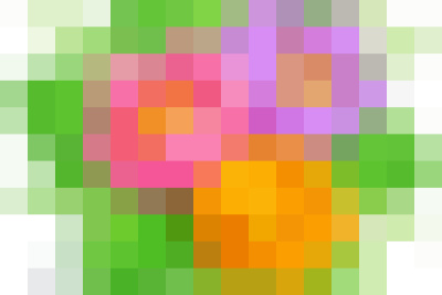 CÔNG TÁC BỔ NHIỆM LẠI CBQL CỦA TRƯỜNG MN SƠN HÀ