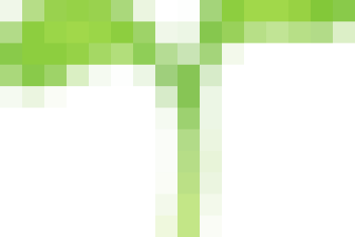 CÙNG CHUNG TAY KIẾN TẠO KHÔNG GIAN XANH CHO NGÔI TRƯỜNG